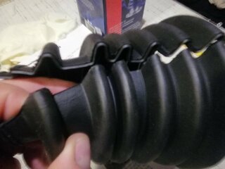 IMG_20200404_224047.jpg