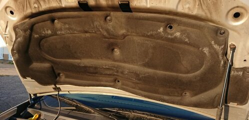 _20200508_160440.JPG