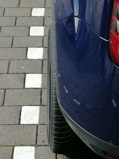IMG_20190316_135329.jpg