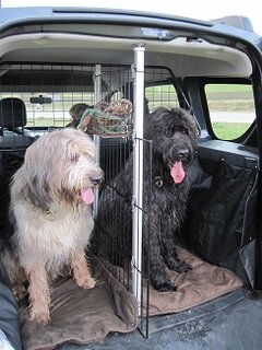 Hundegitter.jpg