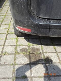 Dacia4.jpg
