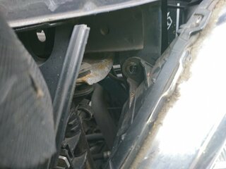 DSC_1439_compress57_resize_53.jpg