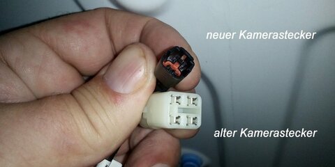 IMG_213010.jpg