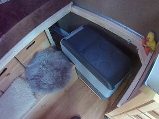 20171201_053432.JPG