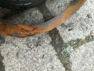 IMG_20200713_115043.jpg
