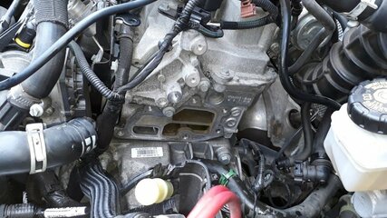 20190501_142709.jpg