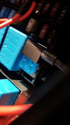 20200729_124107.jpg