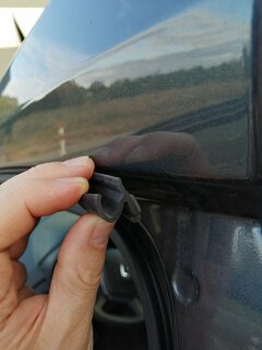 IMG_20200910_183645.jpg