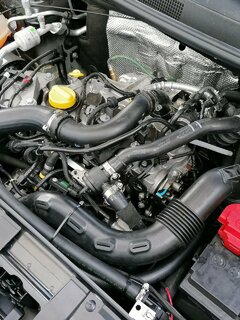 IMG_20200920_141618.jpg