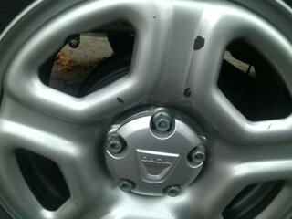IMG_20201028_170238.jpg
