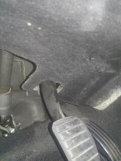 IMG_20201101_181053.jpg