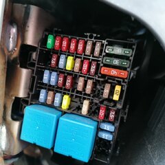 IMG_20200730_142506.jpg