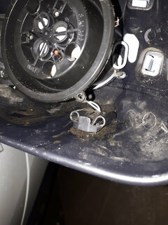 20201119_142935.jpg