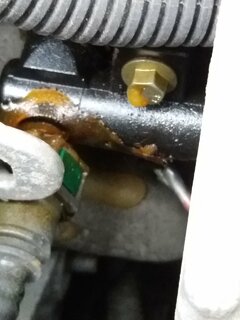 20201220_115032.jpg