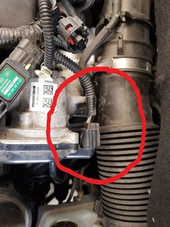 Stecker.jpg Stecker.jpg
