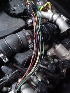 Kabel.jpg