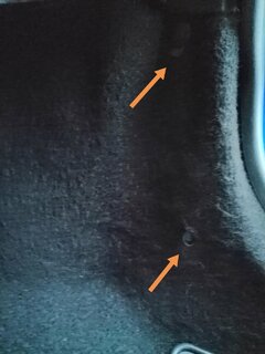 IMG_20210216_074828.jpg
