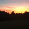 Rottäler