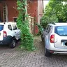 Dustertreiber